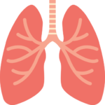Respiratory Medicine